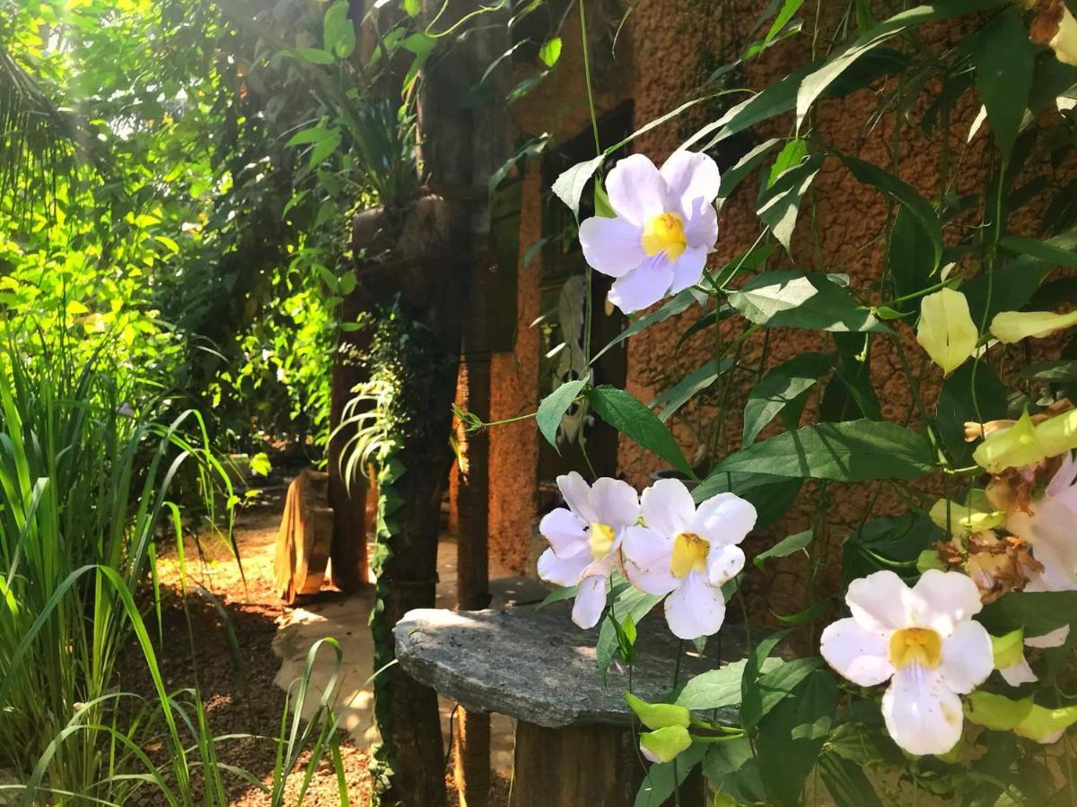 Neboda Earth House Sri Lanka 빌라 외부 사진