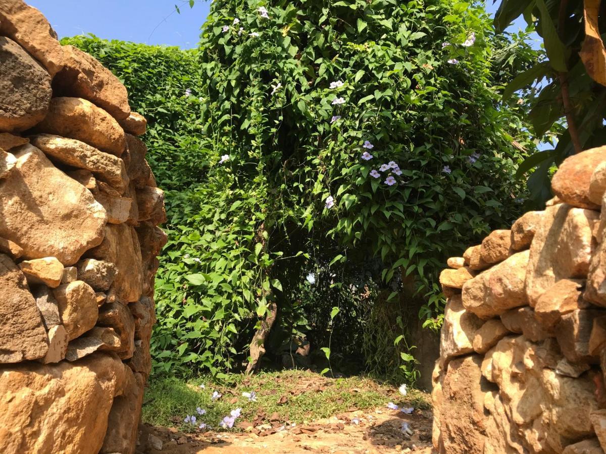 Neboda Earth House Sri Lanka 빌라 외부 사진