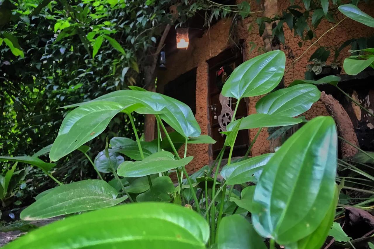Neboda Earth House Sri Lanka 빌라 외부 사진