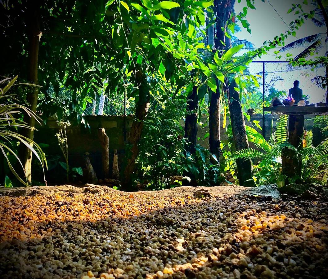 Neboda Earth House Sri Lanka 빌라 외부 사진