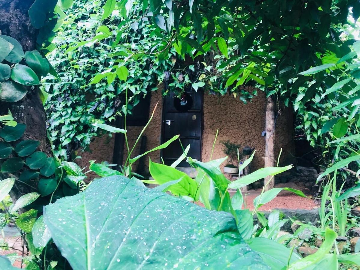 Neboda Earth House Sri Lanka 빌라 외부 사진