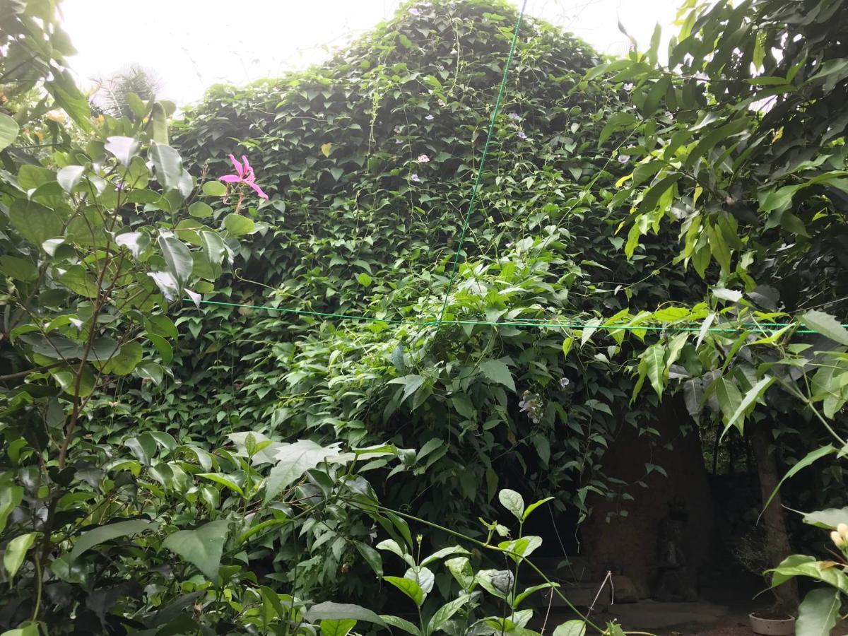 Neboda Earth House Sri Lanka 빌라 외부 사진